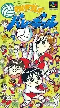 Multi Play Volleyball